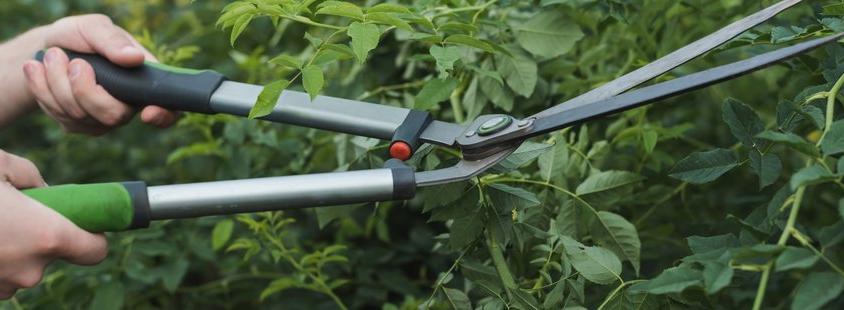 Beste Gartenpflege in Ehringshausen