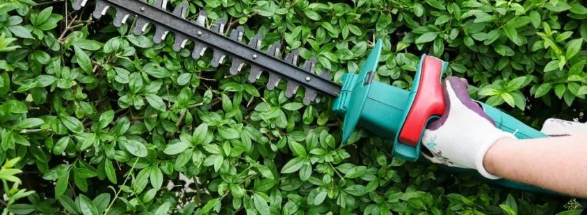 Bester Gartenservice in Müncheberg
