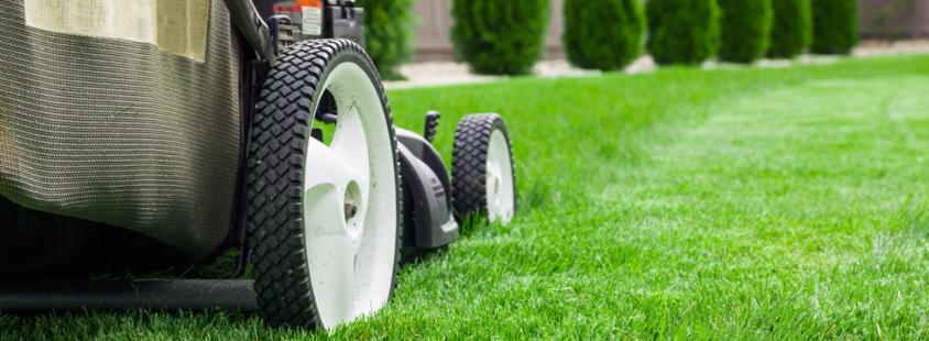 Bester Gartenbau Neuberg