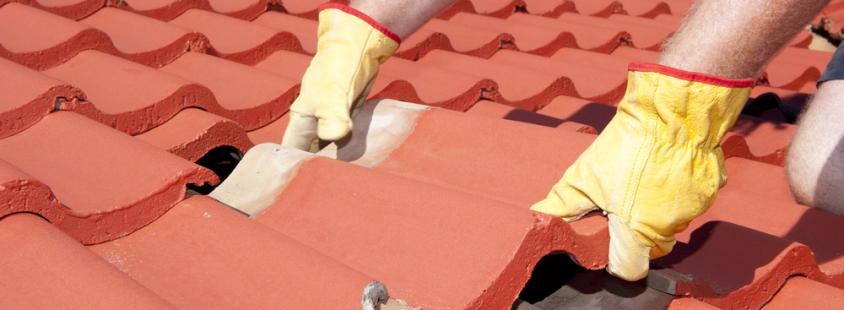 Beste Dachsanierung Potsdam