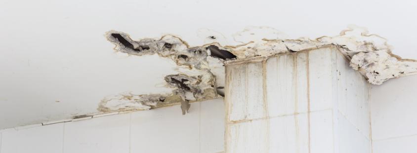 Professionelle Abdichtungsfirma Erfurt