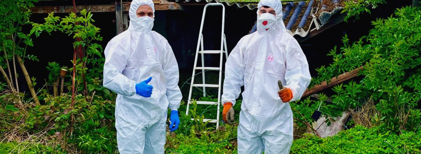 Beste Haushaltsauflösung in Aachen