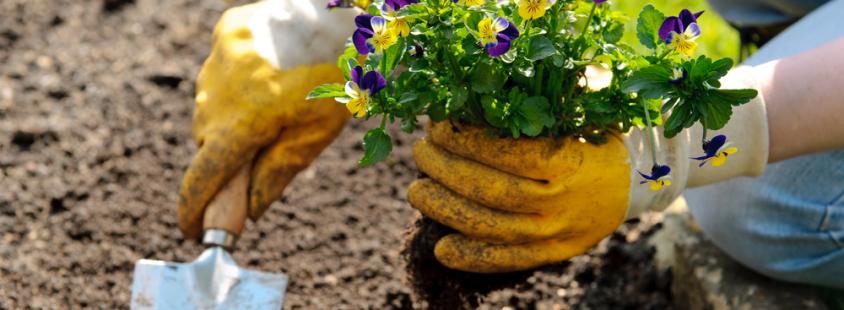 Beste Gartenpflege in Deißlingen