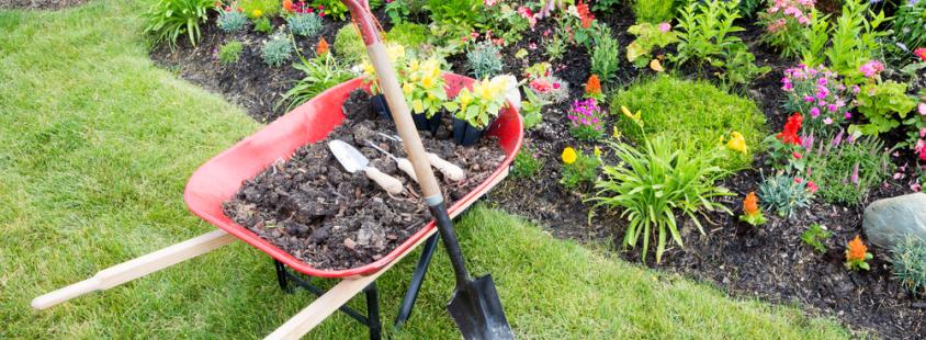 Bester Gärtner in Burgdorf