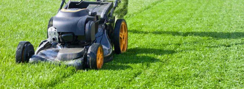 Bester Gartenbau Rottenburg