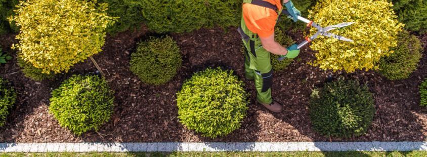 Galabau und Hausmeisterservice Hamburg, Hannover