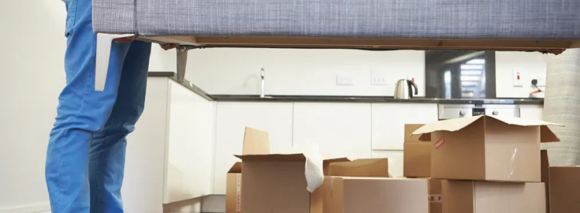 Bester Umzugsservice Halle