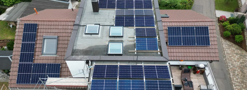 Experte für effektive Taubenabwehrsysteme Baden-Baden