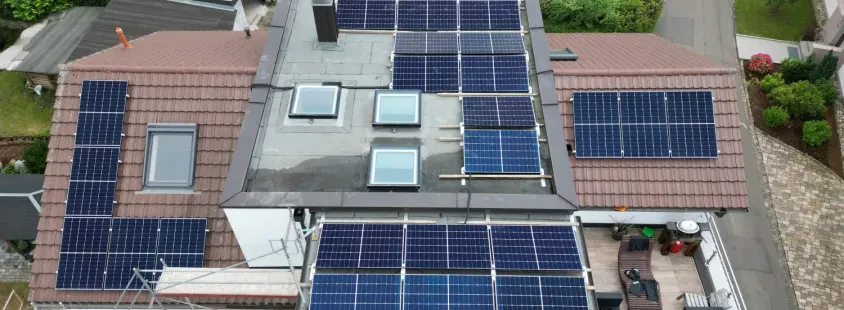 Experte für effektive Taubenabwehrsysteme Baden-Baden