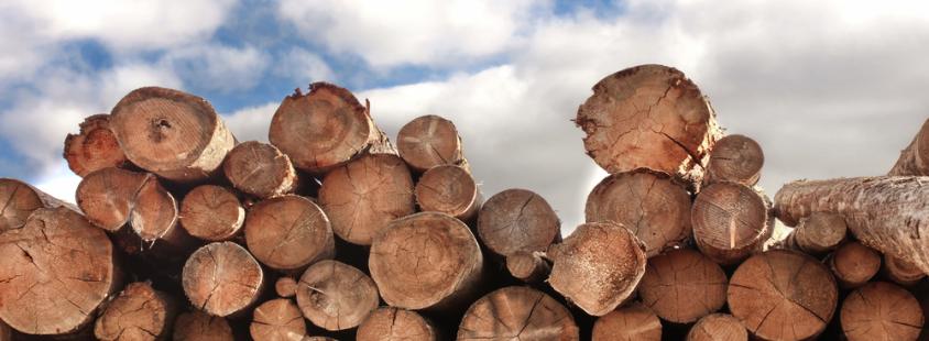 Bester Anbieter für Brennholz Buche Seesen