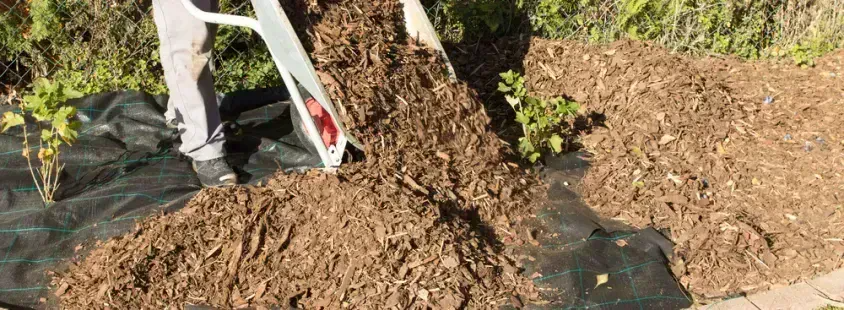 Bester Garten- und Landschaftsbauer in Wurster Nordseeküste