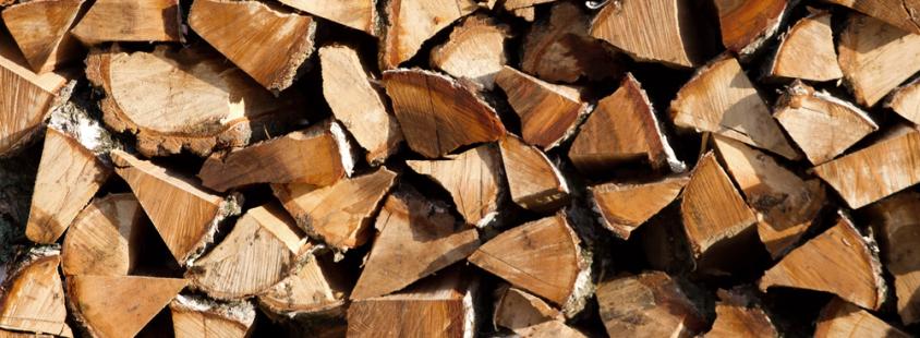 Bester Anbieter für Brennholz, Fichte Seesen