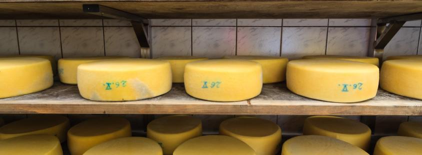 Ankauf von Agrar- und Milchprodukten in Rosengarten