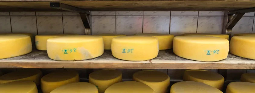 Ankauf von Agrar- und Milchprodukten in Rosengarten