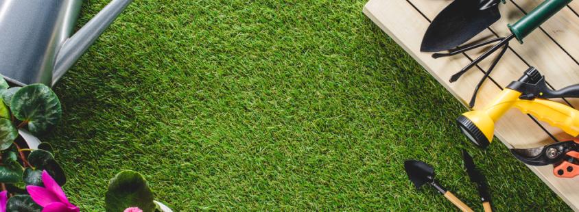 Bester Gartenservice in Cappeln und Umgebung