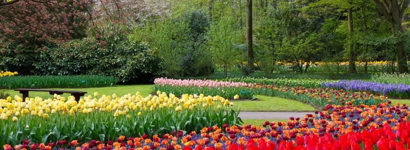 Schönste Naturgärten Mutterstadt und Umkreis