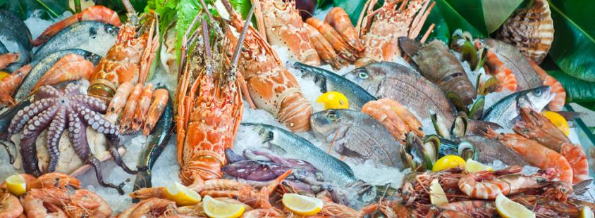 Premium Fische und Meeresfrüchte Sundhagen