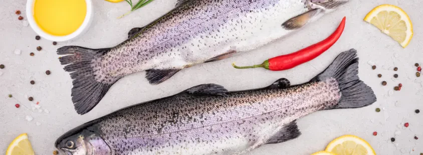 Top-Fische in Mölschow und Umgebung