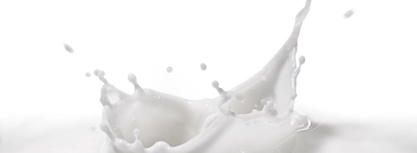 Hochwertige hausgemachte Milchprodukte in Stralsund