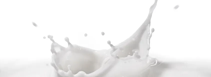 Hochwertige hausgemachte Milchprodukte in Stralsund