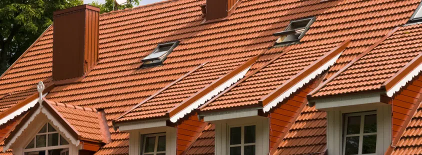 Professionelle Dachreinigung in Baden-Württemberg