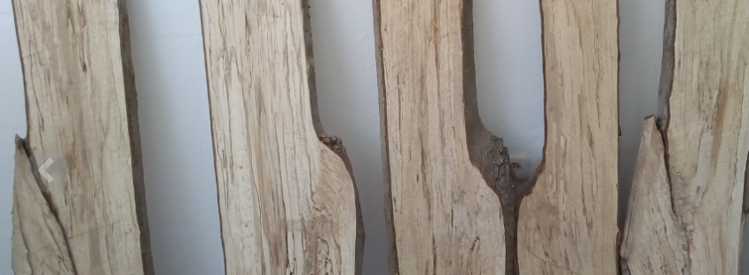 Professioneller Möbelschreiner in Gießen und Umgebung