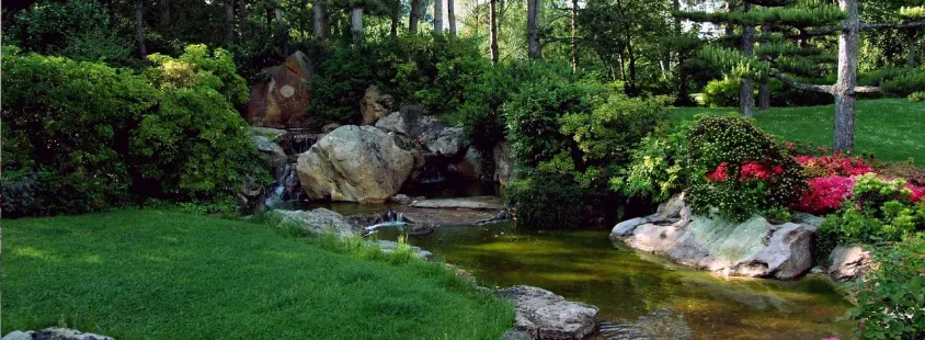 Bester Gartenbau und Baumpflege in Ochsenfurt und 50Km Umgebung