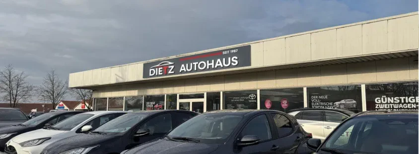 Professioneller Autoservice und Autohandel in Wildau