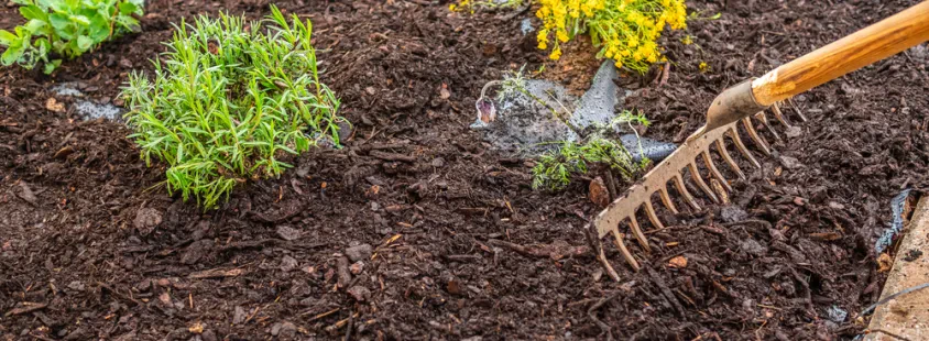 Professionelle Gartengestaltung Kreis Lippe