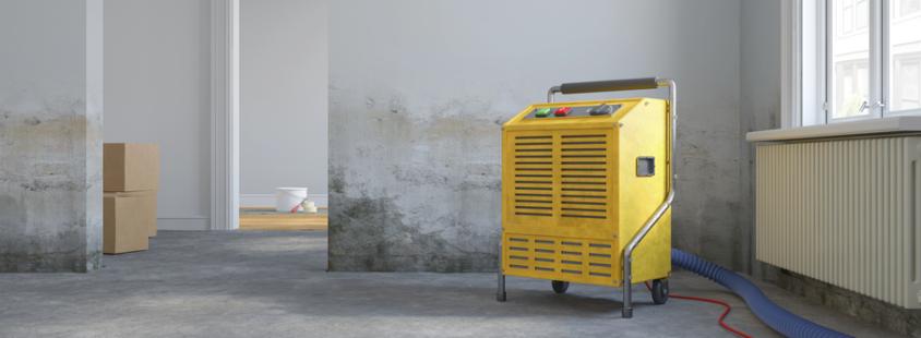 Bautrocknung Freudenstadt