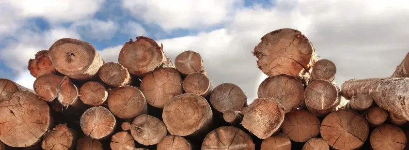 Bester Kaminholzverkauf in Hannover und Umgebung