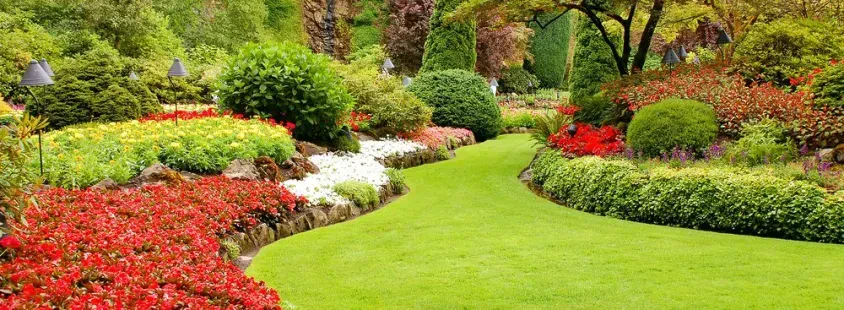 Professioneller Garten- und Landschaftsbau in Stadtallendorf und Umgebung