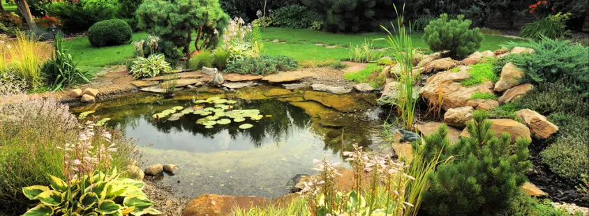 Professionelle Gartenarbeiten und Pflasterarbeiten in Maulbronn