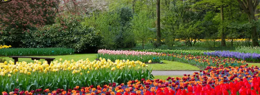 Bester Garten- und Landschaftsbau Im Umkreis Steinburg