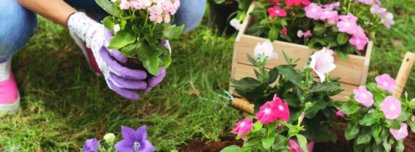 Professionelle Gartenpflege in Greding, Landkreis Roth