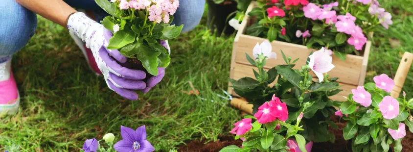 Professionelle Gartenpflege in Greding, Landkreis Roth
