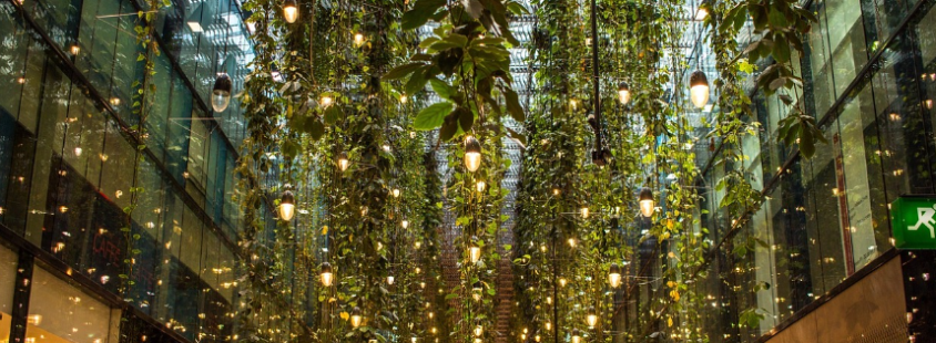 Moderne Beleuchtungskonzepte für Gärten und Terrassen in Buchholz und Harburg