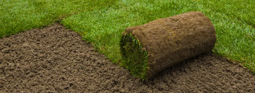 Rollrasen verlegen Alzey