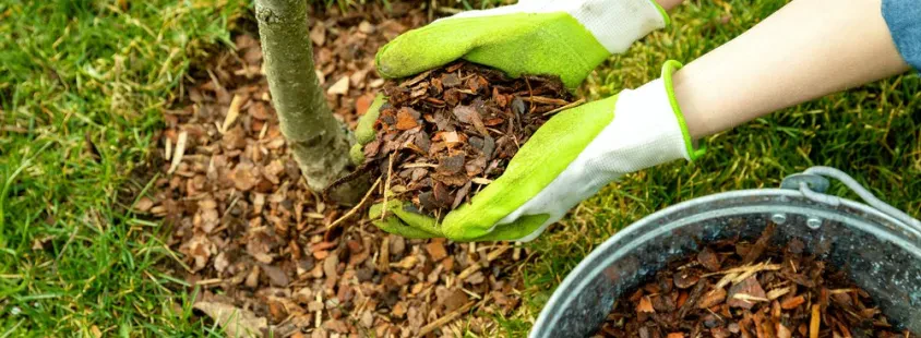 Beste Garten- und Landschaftsbauarbeiten in Nettetal, bundesweit