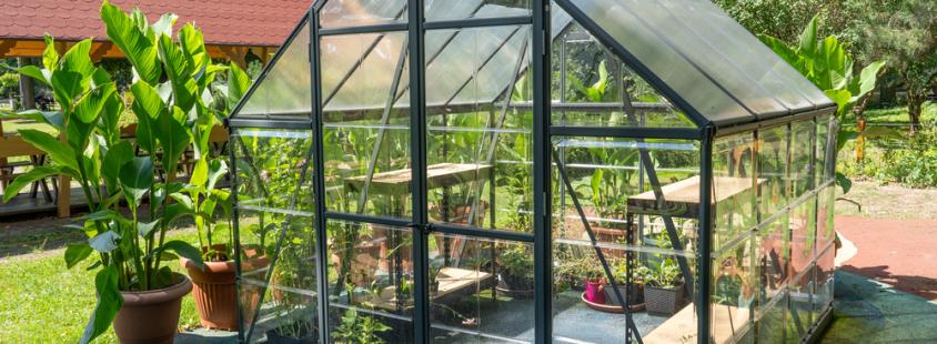 Terrassenbau und Gewächshausverglasung für Privatgärten in Essen und Umgebung