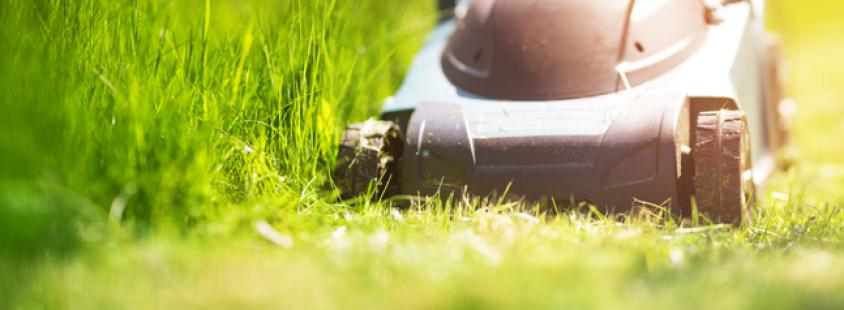 Bester Gartenservice im Landkreis Cloppenburg