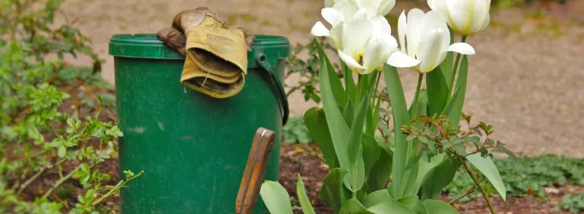 Professionelle Gartenverpflegung in Kamen Und Umkreis