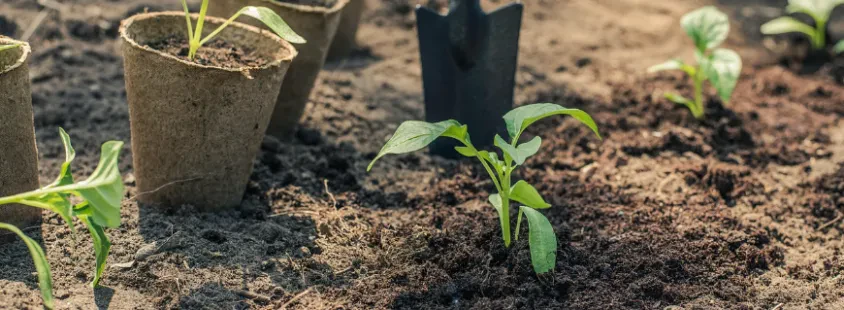 Beste Gartenpflege und Abrissarbeiten im Landkreis Darmstadt-Dieburg