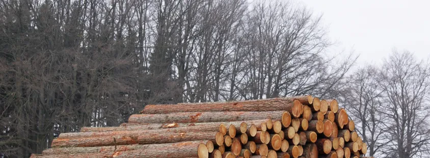 Hochwertige Briketts und Brennholz in Obergebra und Umkreis