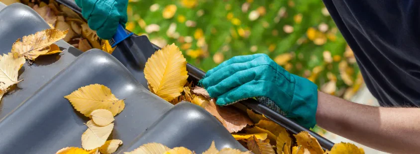 Professioneller Hausmeisterservice in Kamen und Umkreis