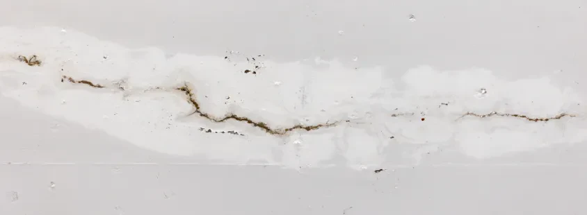 Professionelle Leckortung und Wasserschadensanierung in Stauchitz