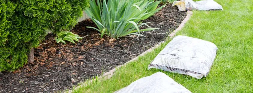 Gebäudereinigung und Gartenpflege in Unna und Dortmund