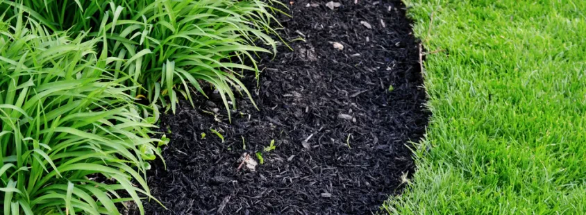 Professionelle Neubepflanzung und Gartenpflege für Privatkunden in Sohren