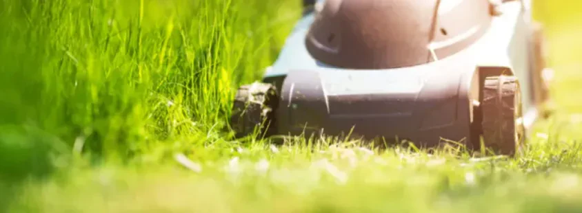 Günstige Hausmeister- und Gartendienste in Aarbergen und Umgebung
