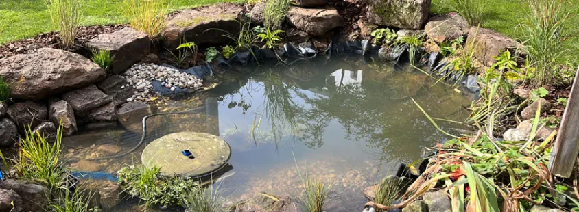 Professionelle Gartenpflege in Erlangen-Höchststadt